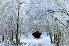 IMG_20201226_102452858