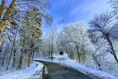 IMG_20201226_102457048_HDR