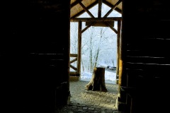 IMG_20201226_102917282_HDR