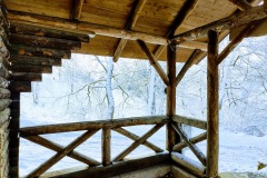 IMG_20201226_103001286_HDR