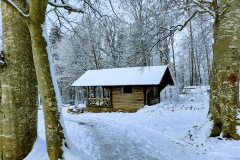 IMG_20201226_110125234_HDR