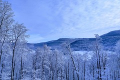 IMG_20201226_111347812_HDR