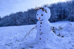 IMG_20201226_111904587