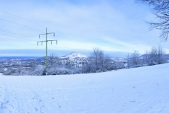 IMG_20201226_112032047