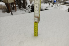 IMG_20220403_092157969