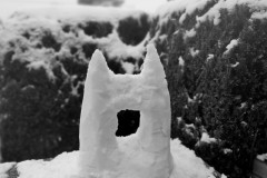 IMG_20220403_185533441_PORTRAIT