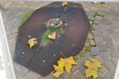 IMG_20211111_140850687