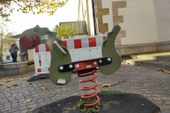 IMG_20211111_140928869_HDR