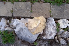 IMG_20190419_075006909