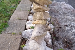 IMG_20190419_075022710