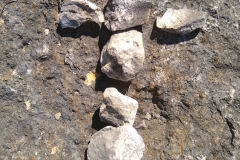 IMG_20190602_102445800