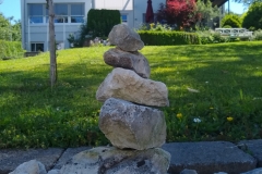 IMG_20190602_103533247