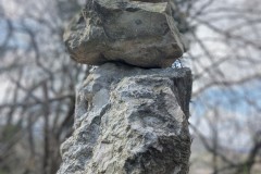 PXL_20250401_0913483532