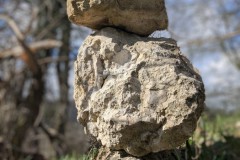 PXL_20250401_0916545012