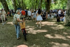 PXL_20250619_1133257302