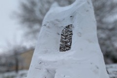 PXL_20230118_1046358352