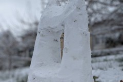 PXL_20230118_1047050472