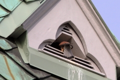 Turmfalke