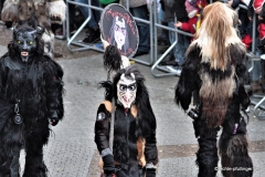 Umzug 1. Narrenzunft He