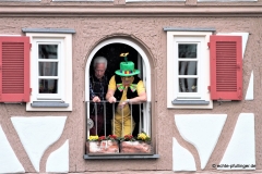 Umzug 1. Narrenzunft He