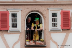 Umzug 1. Narrenzunft He