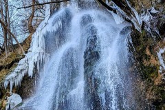 PXL_20230211_1230470072