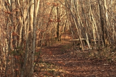 Wackerstein 15.11.2020