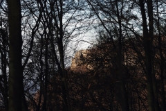 Wackerstein 15.11.2020