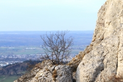 Wackerstein 15.11.2020