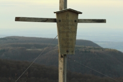 Wackerstein 15.11.2020