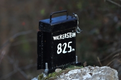 Wackerstein 15.11.2020