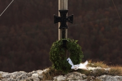 Wackerstein 15.11.2020