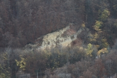 Wackerstein 15.11.2020