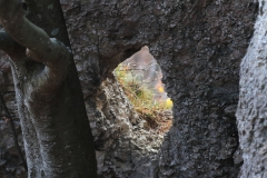 Wackerstein 15.11.2020