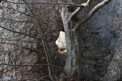 Wackerstein 15.11.2020