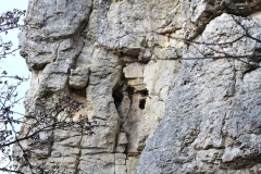 Wackerstein 15.11.2020