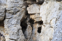 Wackerstein 15.11.2020