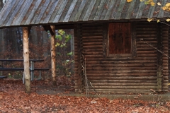 Wackerstein 15.11.2020