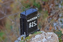 Wackerstein 15.11.2020