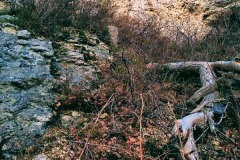 Wackerstein 15.11.2020