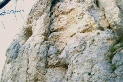 Wackerstein 15.11.2020