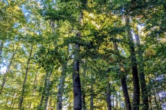 PXL_20250918_0817481722