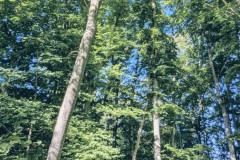 PXL_20250918_0820372232