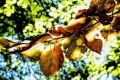 PXL_20250918_0823160642