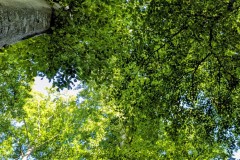 PXL_20250918_0839479152