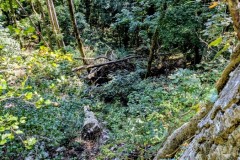 PXL_20250918_0845438742