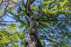 PXL_20250918_0939352942