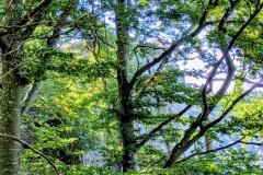 PXL_20250918_1003244152