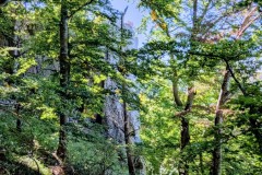 PXL_20250918_1004140322