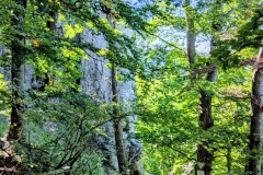 PXL_20250918_1004234182